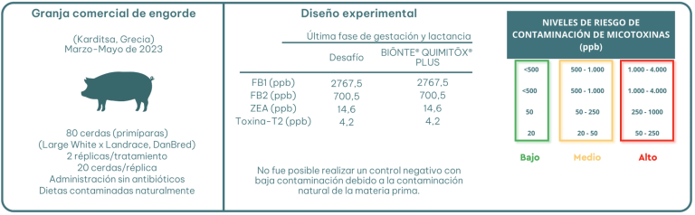 Diseño experimental de las dos pruebas.